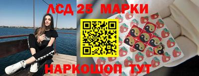 СК Владимир