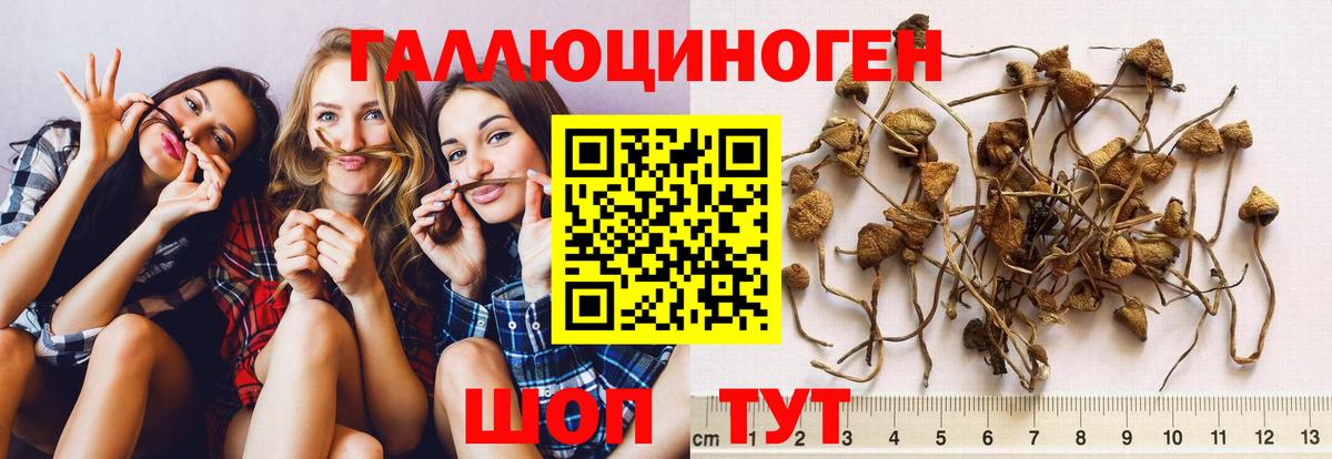 Волжский  где продают наркотики  Вход с VPN  Галлюциногенные грибы мицелий 