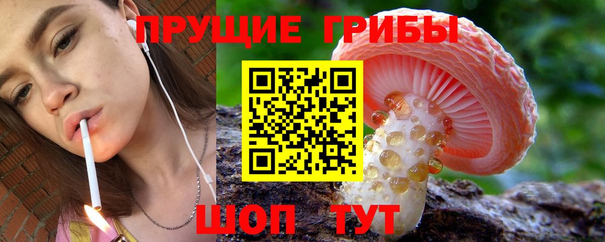 Псилоцибиновые грибы Psilocybine cubensis Волжский